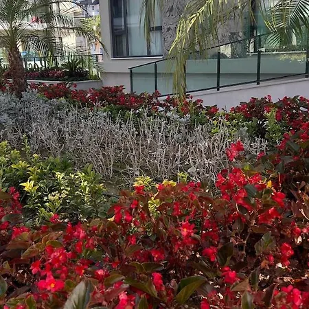 в 150м от моря, тосмур * 阿拉尼亚